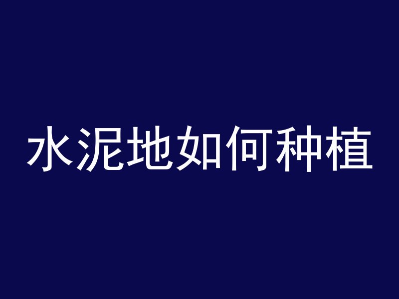 水泥地如何种植