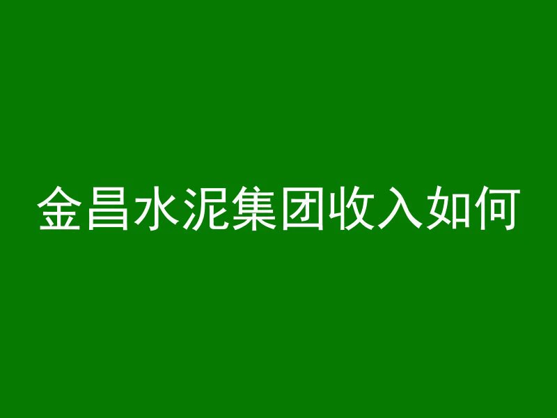 金昌水泥集团收入如何