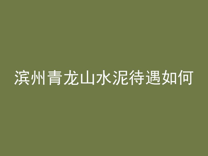 滨州青龙山水泥待遇如何