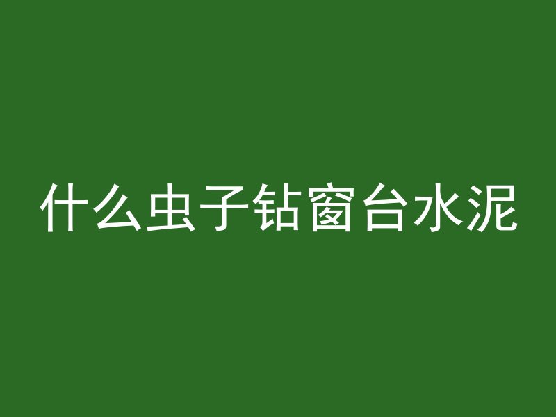 什么虫子钻窗台水泥