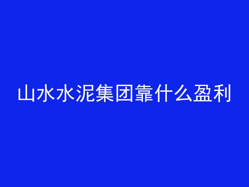 山水水泥集团靠什么盈利