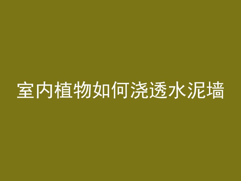 室内植物如何浇透水泥墙