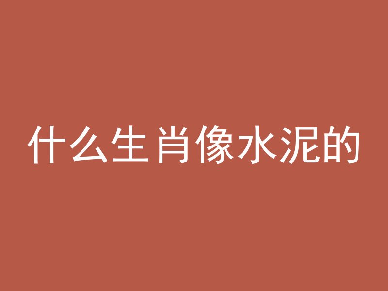 什么生肖像水泥的