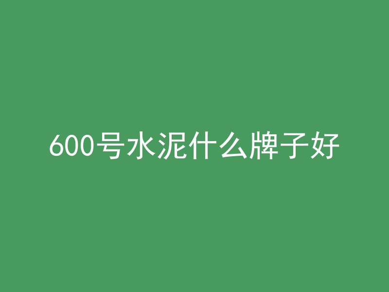 600号水泥什么牌子好