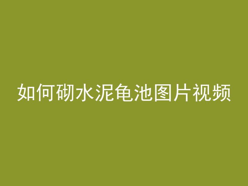 如何砌水泥龟池图片视频