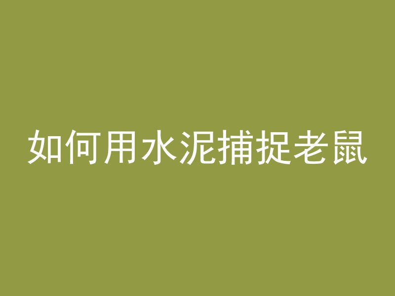 如何用水泥捕捉老鼠