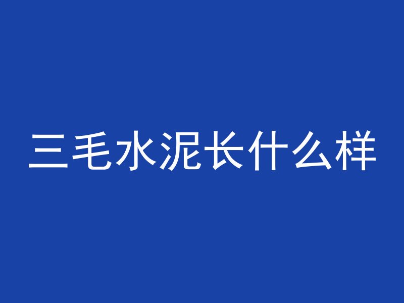 三毛水泥长什么样