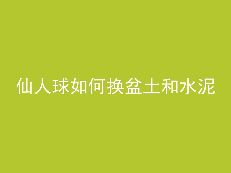 仙人球如何换盆土和水泥