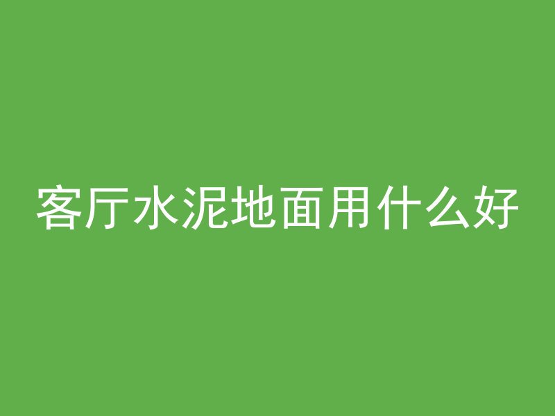 客厅水泥地面用什么好