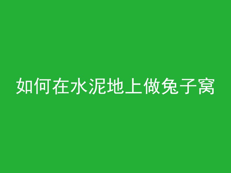 如何在水泥地上做兔子窝