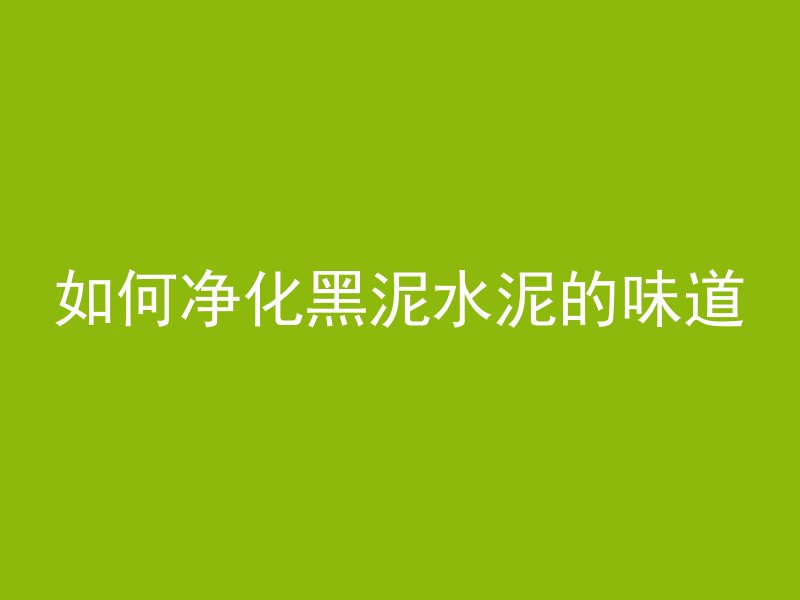 如何净化黑泥水泥的味道