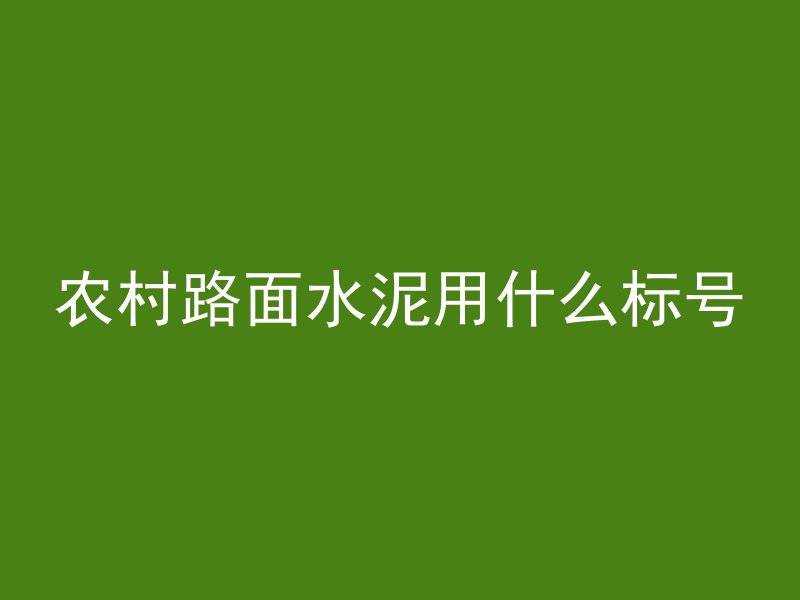 农村路面水泥用什么标号