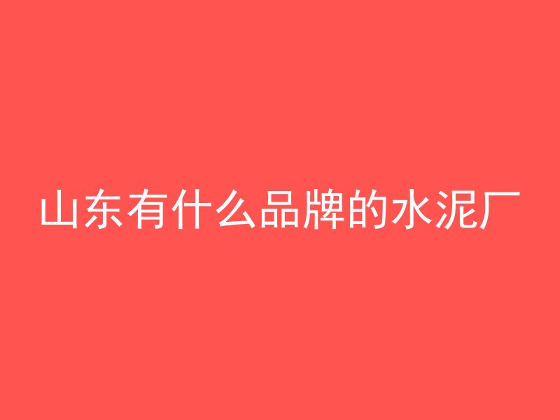 山东有什么品牌的水泥厂