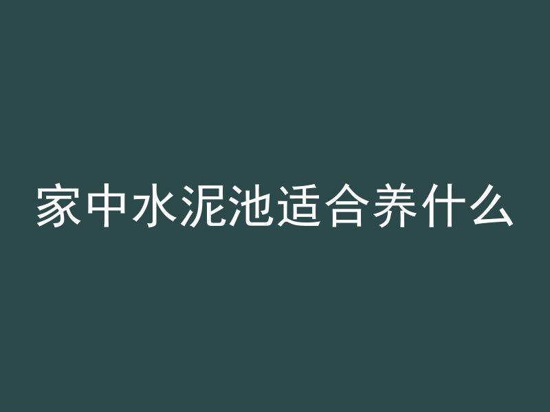 家中水泥池适合养什么