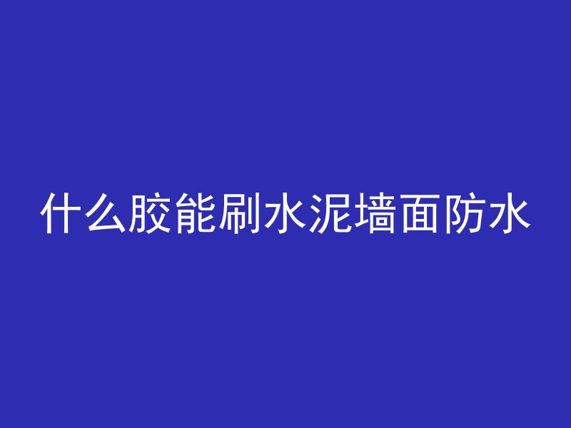 什么胶能刷水泥墙面防水