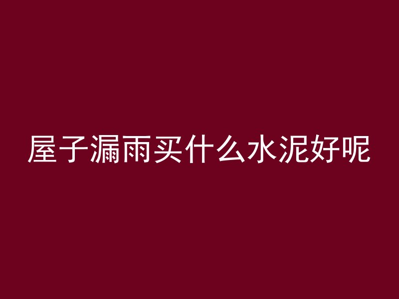 屋子漏雨买什么水泥好呢