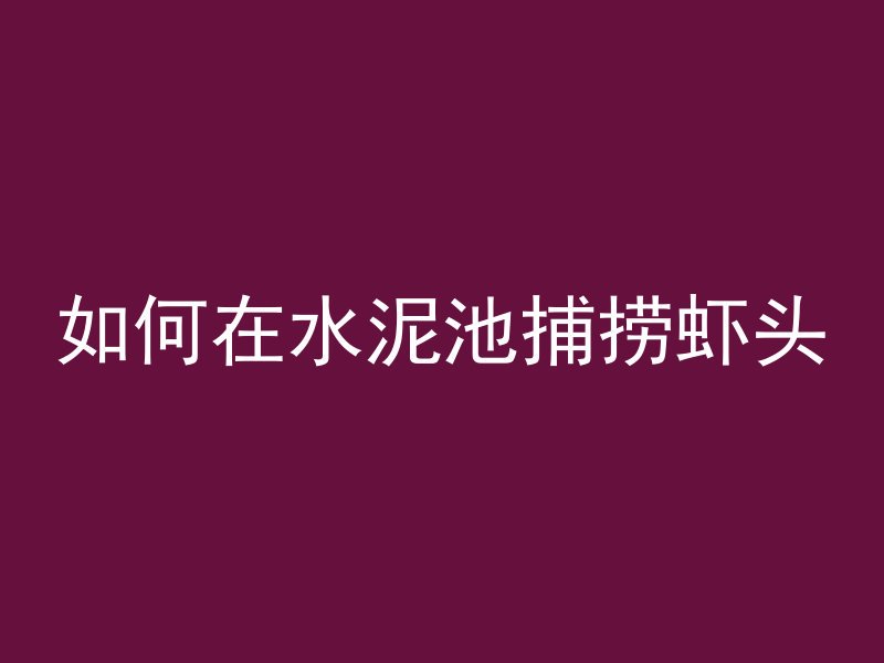 如何在水泥池捕捞虾头