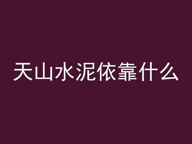 天山水泥依靠什么