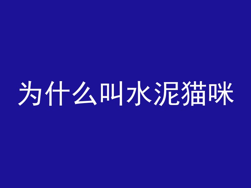 为什么叫水泥猫咪