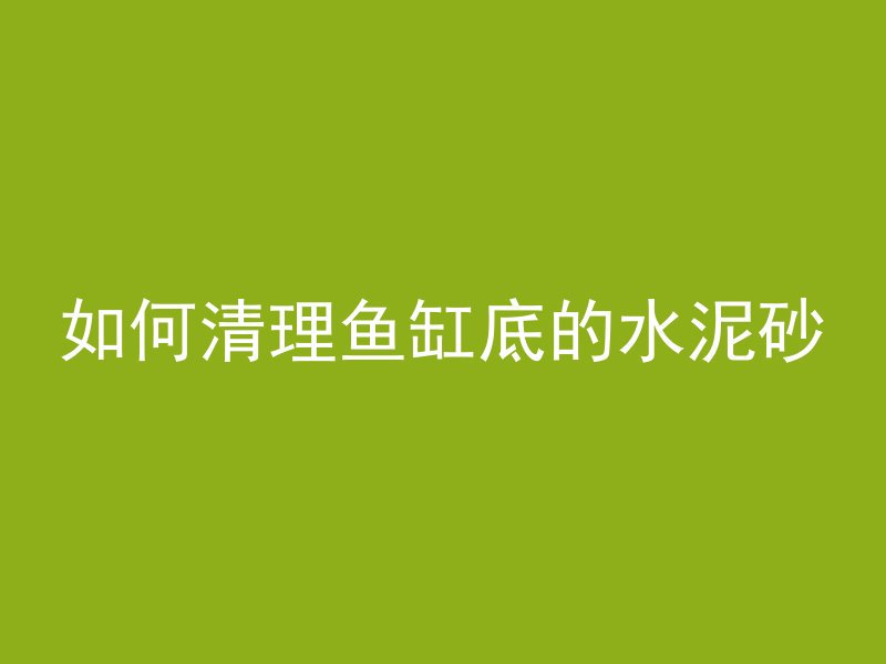 如何清理鱼缸底的水泥砂