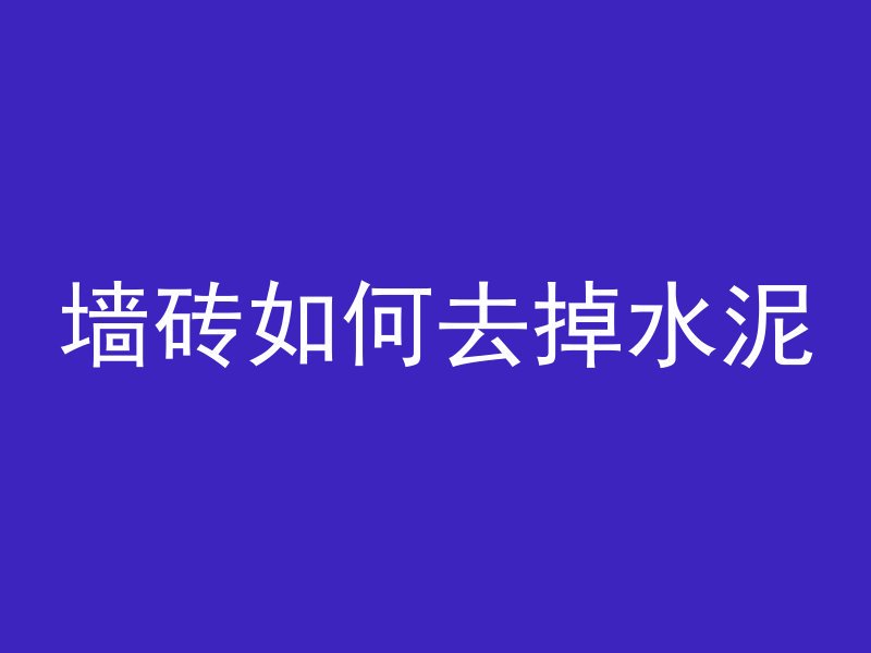 墙砖如何去掉水泥