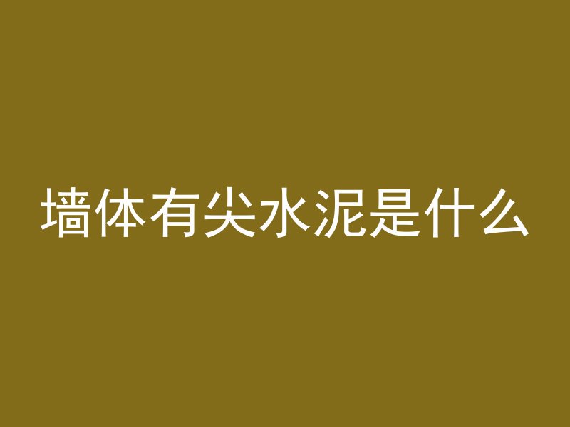 墙体有尖水泥是什么