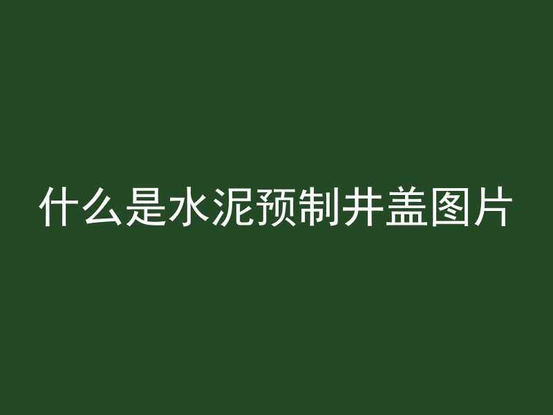 什么是水泥预制井盖图片