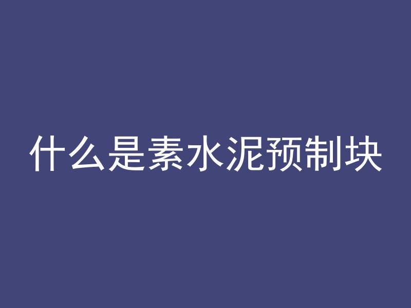 什么是素水泥预制块