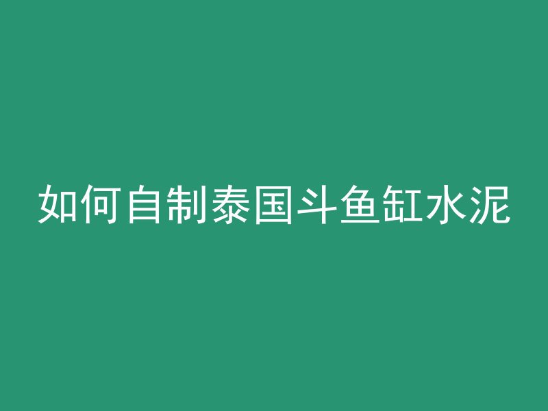 如何自制泰国斗鱼缸水泥