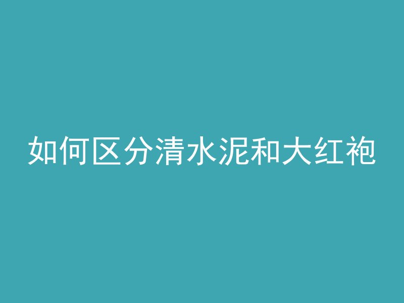 如何区分清水泥和大红袍