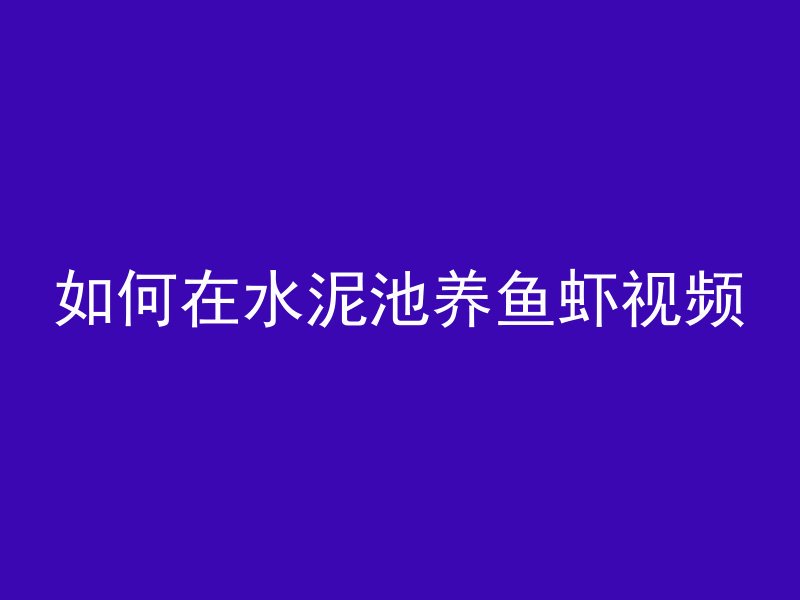 如何在水泥池养鱼虾视频