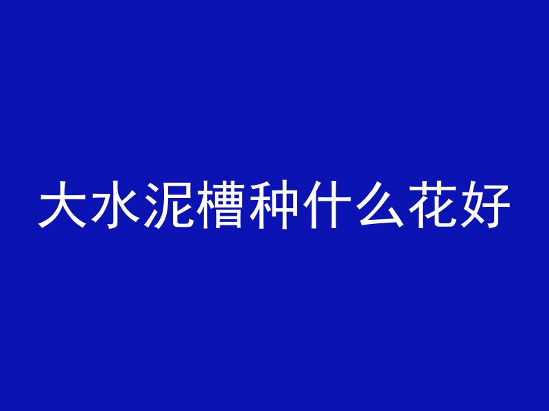 大水泥槽种什么花好