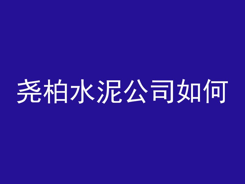 尧柏水泥公司如何