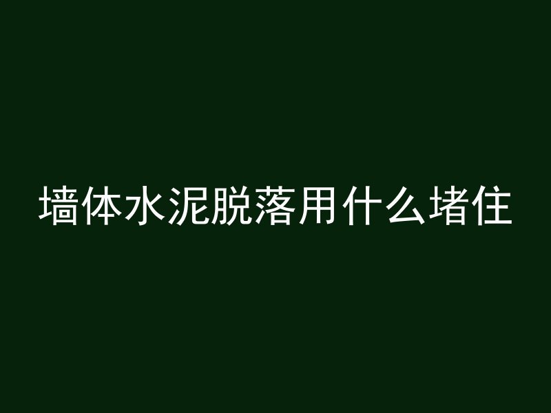 墙体水泥脱落用什么堵住