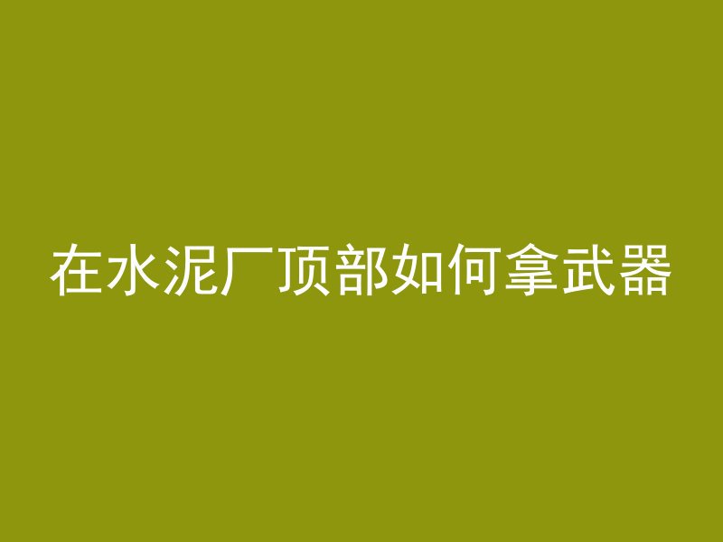 在水泥厂顶部如何拿武器