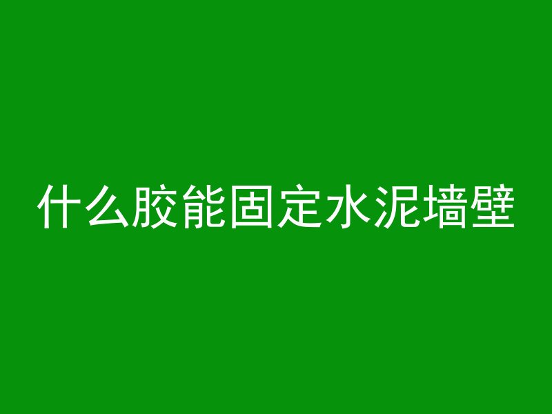 什么胶能固定水泥墙壁