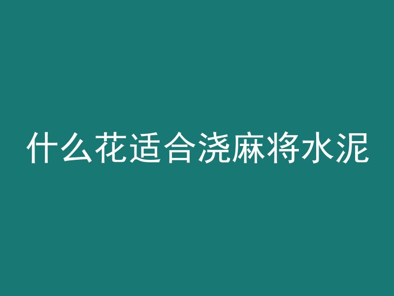 什么花适合浇麻将水泥