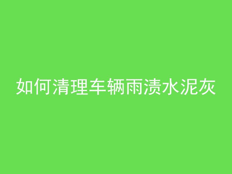 如何清理车辆雨渍水泥灰