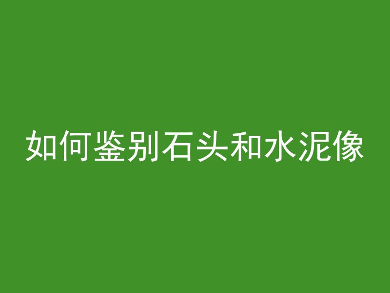 如何鉴别石头和水泥像