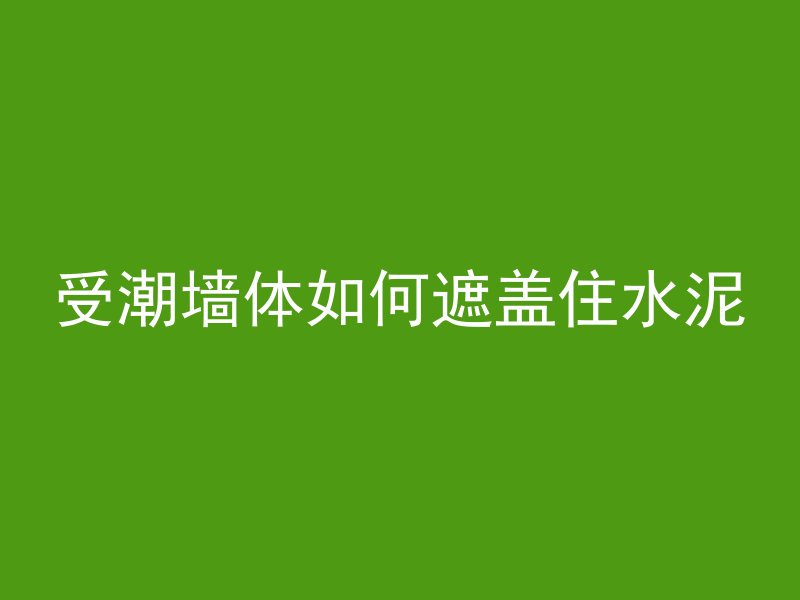 受潮墙体如何遮盖住水泥