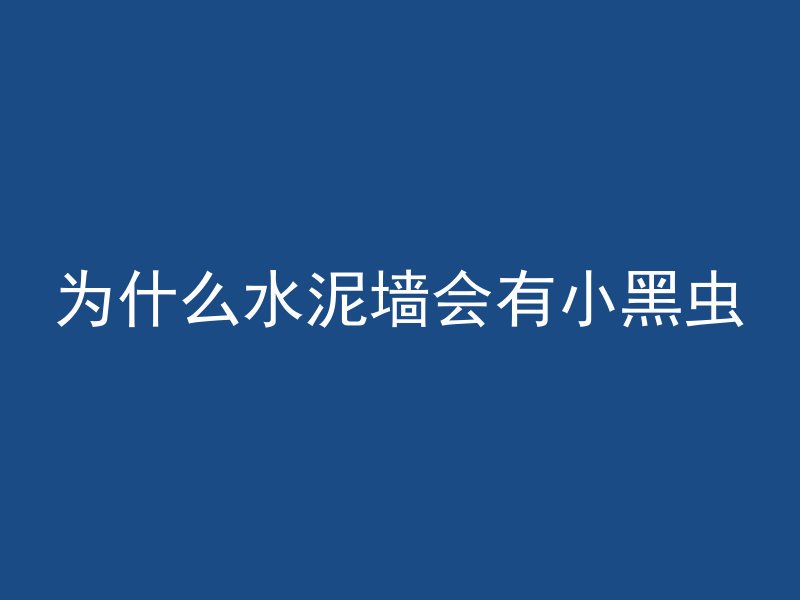 为什么水泥墙会有小黑虫