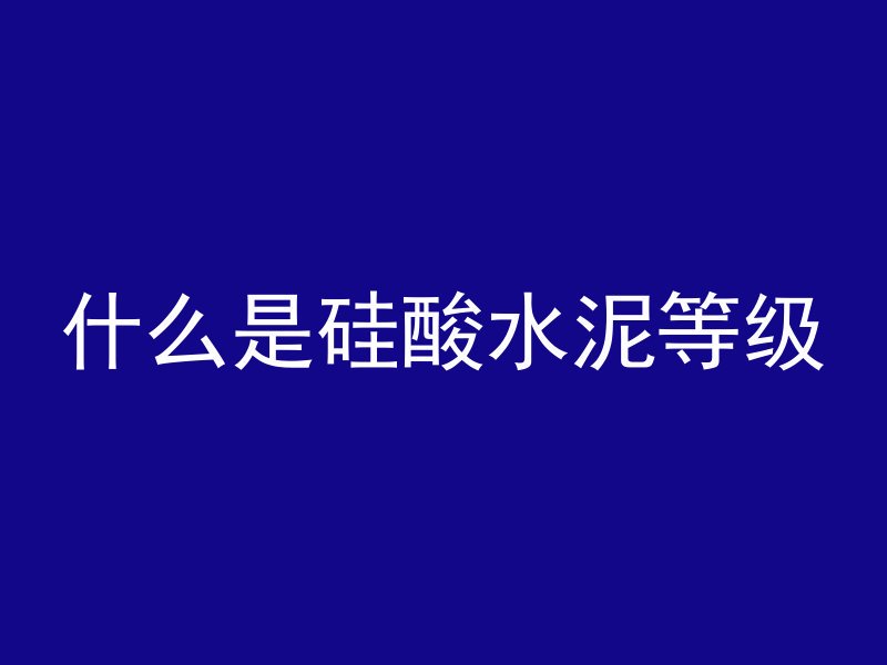 鸟巢混凝土是什么