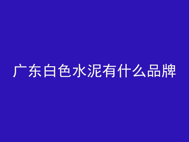 广东白色水泥有什么品牌