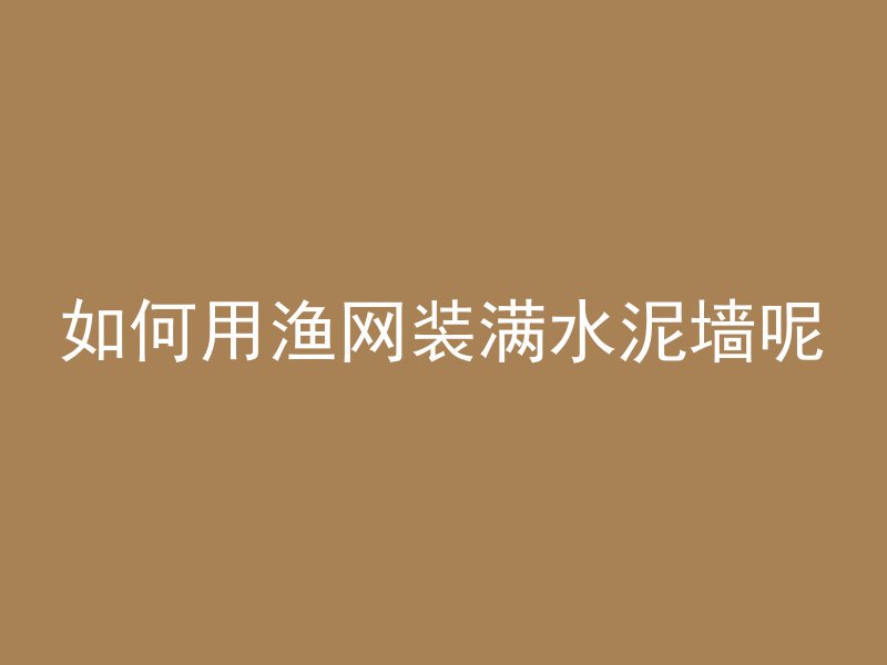 如何用渔网装满水泥墙呢