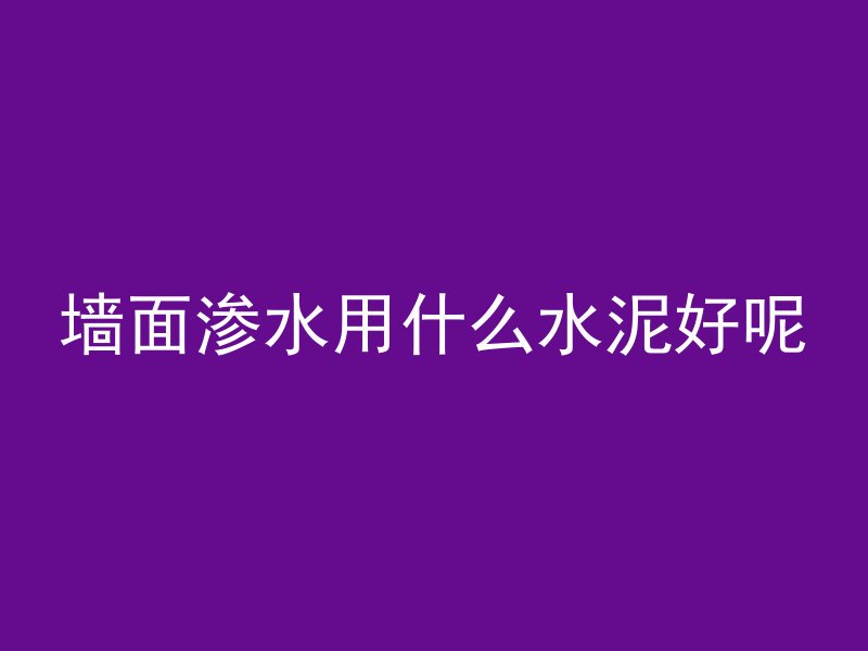 墙面渗水用什么水泥好呢