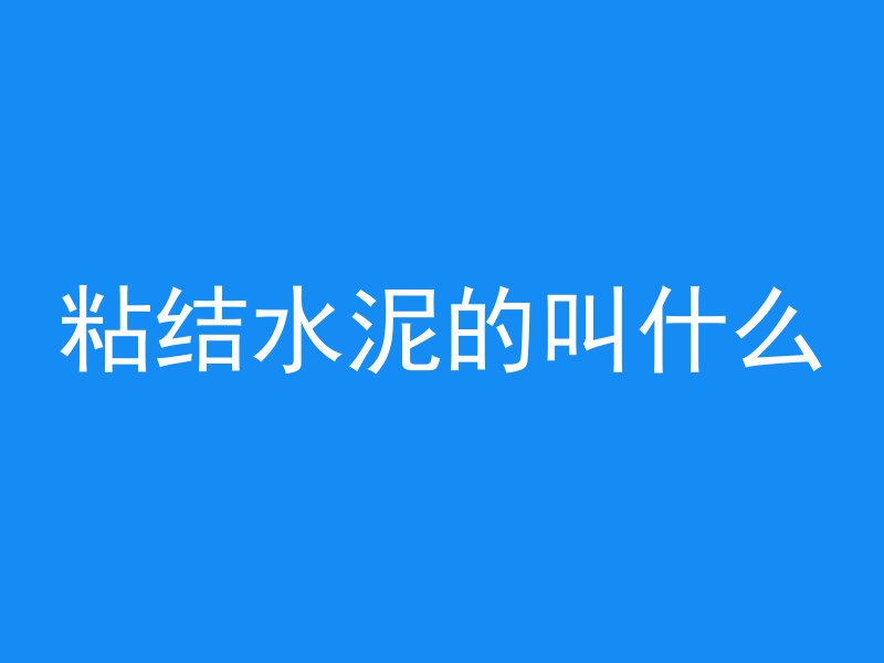 粘结水泥的叫什么