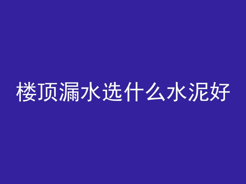 楼顶漏水选什么水泥好