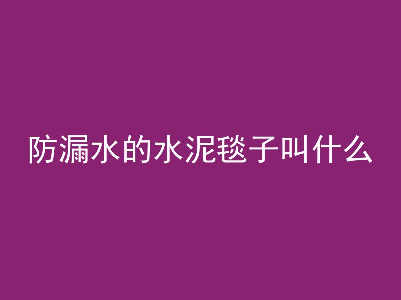 防漏水的水泥毯子叫什么