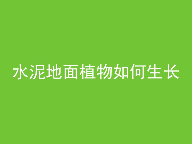 水泥地面植物如何生长