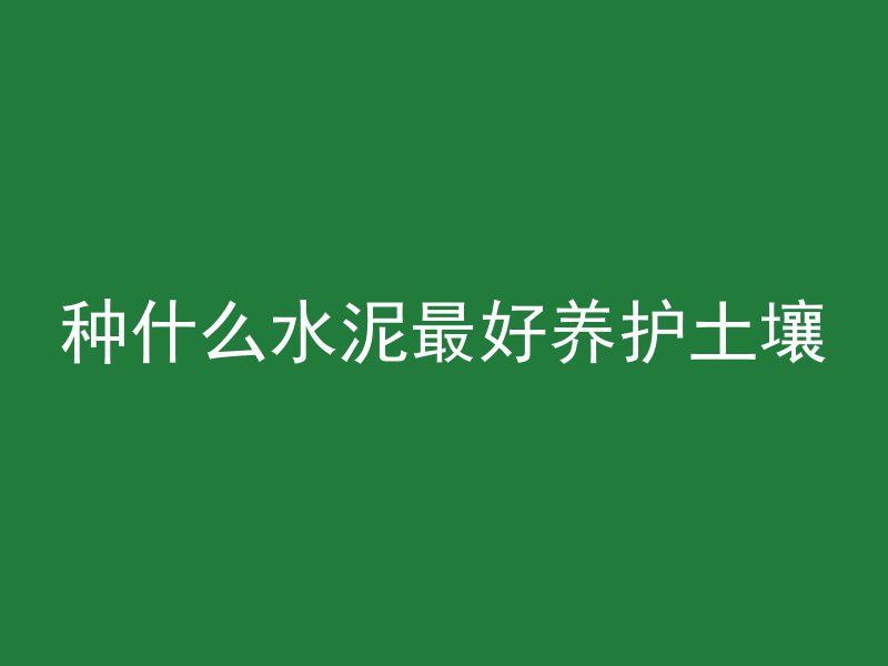 种什么水泥最好养护土壤